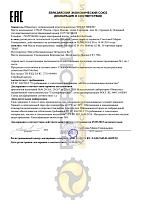 SHELL Morlina S2 BL 10 (20 л) 550062216